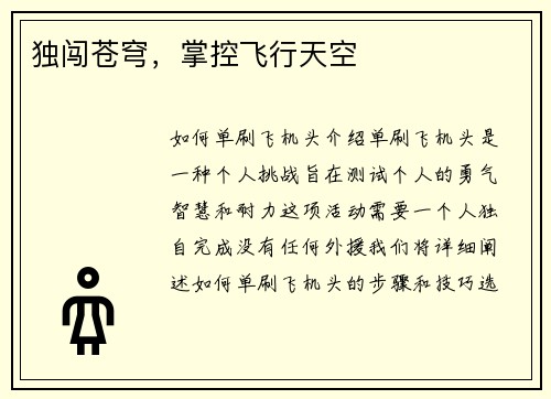 独闯苍穹，掌控飞行天空