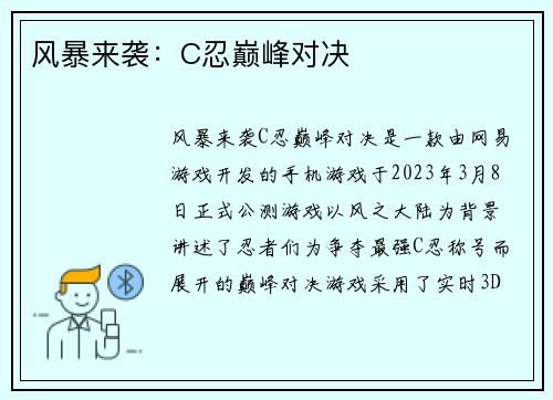 风暴来袭：C忍巅峰对决